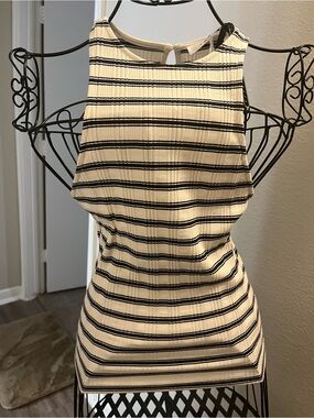 Frame Denim Cream and Black Striped Mini top